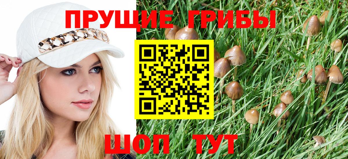 Псилоцибиновые грибы Psilocybine cubensis Новосибирск