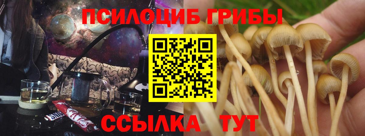 даркнет сайт  Галлюциногенные грибы Cubensis  Вход с VPN  Новосибирск 